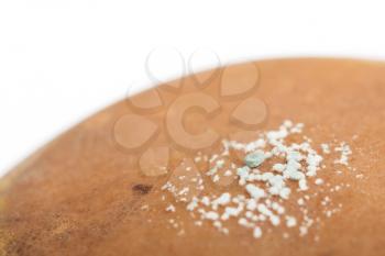 Close up of a pear with white area of fungus growing on it, selective focus