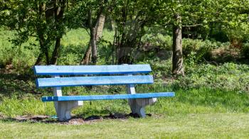 Blue bench in a public park, the Netherlands