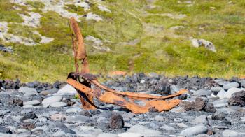 Remains of a boat wreck at the black beach on Iceland Snaefellsnes Dritvik - Selective focus
