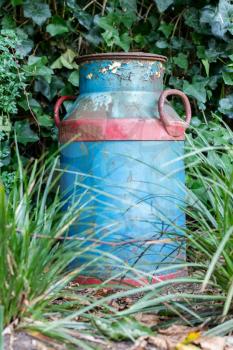 Old buckets milk, beautifully painted but rusting in nature