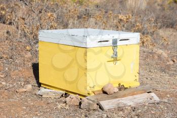 Beehive with bees in Greece - Selective focus