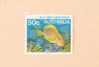 AUSTRALIA - CIRCA 1980: A stamp printed in Australia shows a Blue-lined Surgeonfish, circa 1980