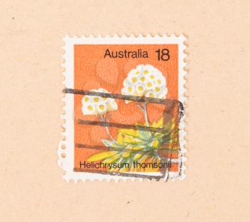 AUSTRALIA - CIRCA 1980: A stamp printed in Australia shows a flower (Helichrysum thomsonii) circa 1980