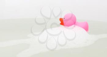 Pink duck in a bathtub, surrounded by soap
