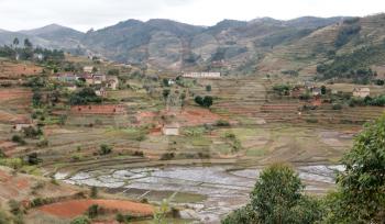 Typical Malagasy landscape, villages and agricultural landscape