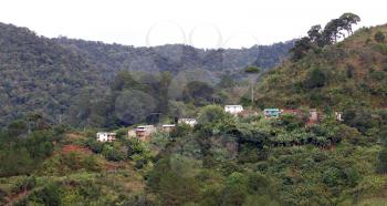 Typical Malagasy landscape, village in the jungle