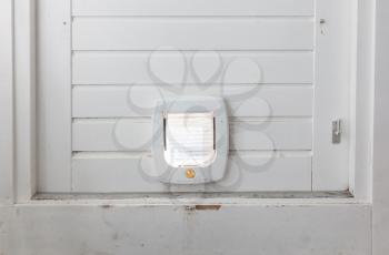 Inside view of a regular white cat flap on a light door, flap closed