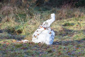 Melting snowman in the Netherlands - Last bit of snow