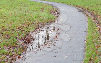 Small road in a park - Selective focus on the puddle