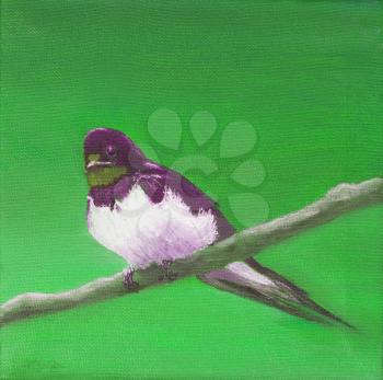 Painting, adult swallow sitting on a branch, green