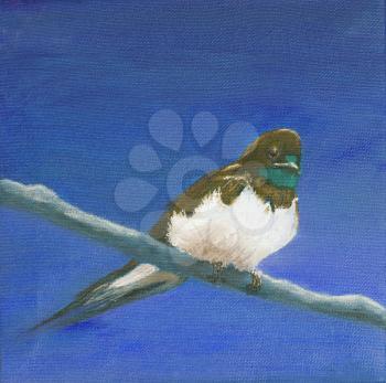 Painting, adult swallow sitting on a branch, blue