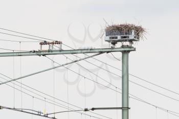 Stork nest on top of a railroad construction, the Netherlands