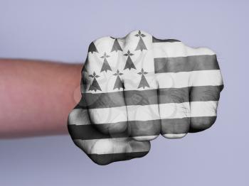 Very hairy knuckles from the fist of a man punching, flag of Brittany