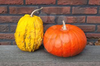 Halloween pumpkins in front of a modern stone wall