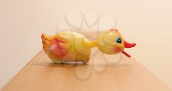 Plastic yellow duck, childrens toy isolated, selective focus