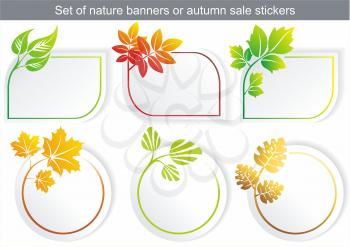 Vector natural stickers with different leaf