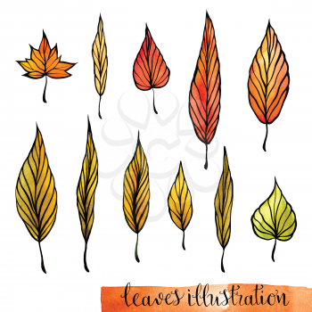 Hand painted watercolor leaves set