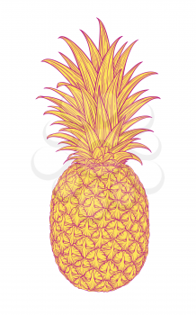 Hand drawn decorative pineapple. Stylized colorful fruit. Summer spring background, nature collection. Vector illustration