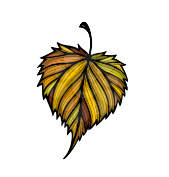 Falling linden leaf colorful vector illustration. Decorative hand drawn organic autumn leaf collection. Isolated on white background