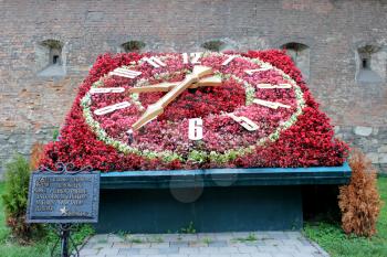 big clock made from flowers in Lvov city
