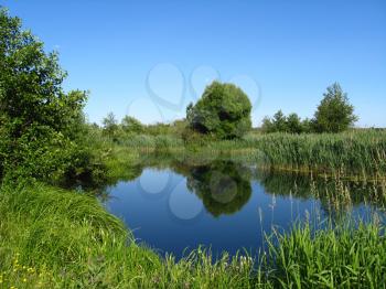 the beautiful summer landscape with river and trees