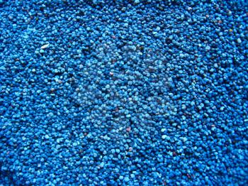 The image of grains of the blue poppy