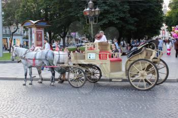 coach with two harnessed horses running in Lvov