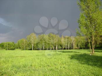 Landscape with dark rainy clouds, rainbow and birch forest