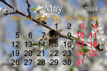 calendar for the May of 2014 year on the background of flying bumblebee