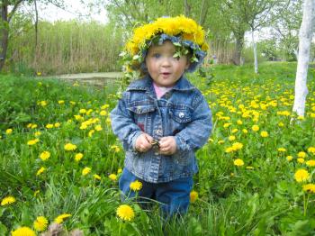 The small beautiful child with dandelions in the spring