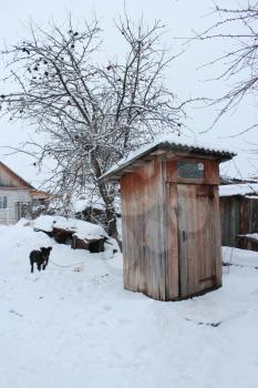 Rural toilet and black dog in winter
