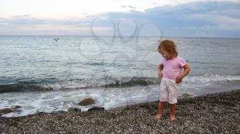 The image of little girl standing on seacoast