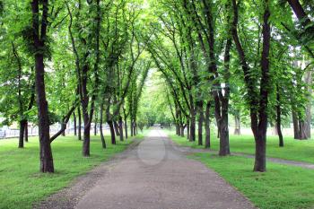 Beautiful city park with pathes and green trees