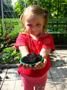 girl offers the plate with ripe black mulberry