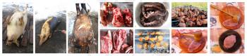 all stages of process whith passes meat from the slaughter to tasty fresh dish