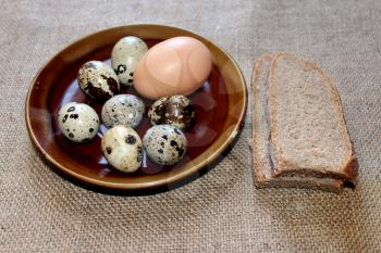 some eggs of the quail and hen on the plate and pieces of bread