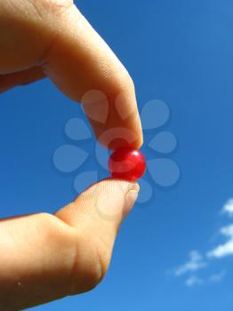 Berry of a red currant in a hand