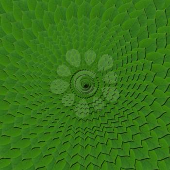 background from circle pattern of green leaves