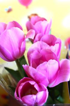 the image of bouquet from tulips for a holiday on March, 8th