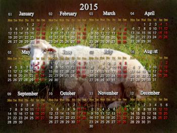 beautiful calendar for 2015 year with sheep on the grass on the background