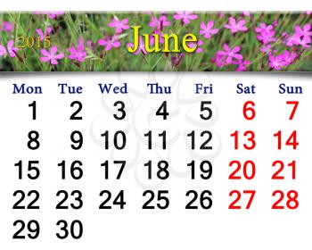 calendar for July of 2015 year with ribbon of wild carnation
