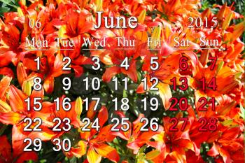calendar for the July of 2015 on the background of beautiful red lilies