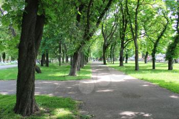 Beautiful city park with pathes and green trees  