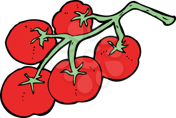 Royalty Free Clipart Image of Vine Tomatoes