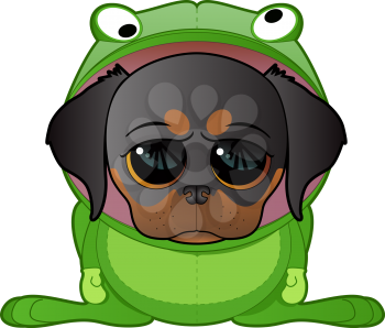 Dog in  Frog Costume