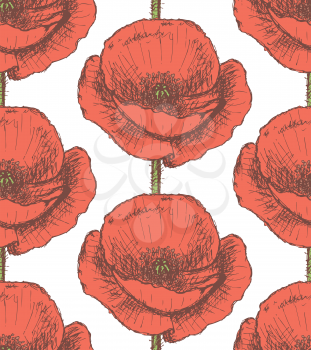 Sketch poppy, vector vintage seamless pattern eps 10