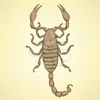 Sketch horrible scorpion in vintage style, background

