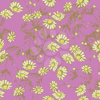 Daisy flower in sketch style, vector seamless pattern

