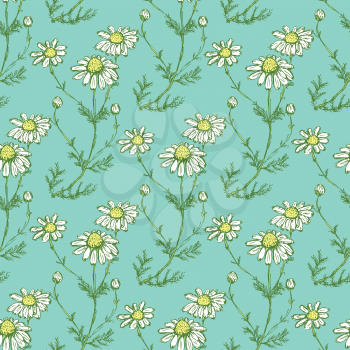 Daisy flower in sketch style, vector seamless pattern

