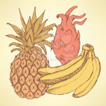 Sketch exotic fruits in vintage style, vector